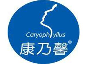 康乃馨產后恢復加盟投資解析 總投資14.8萬元起，加盟費用詳解與咨詢指南